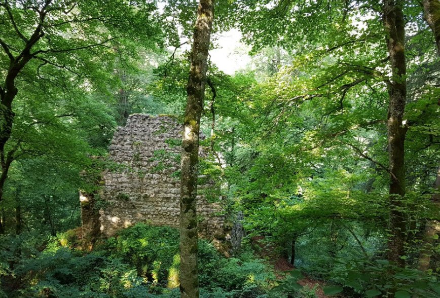 Burgruine Kraftstein, Germany
